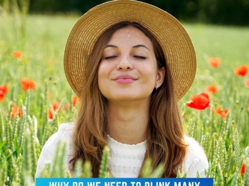 Why Do We Need to Blink Many Times a Day?